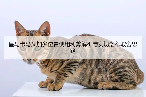 皇马卡马文加多位置使用利弊解析与安切洛蒂取舍思路